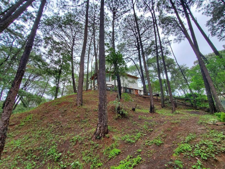 Villa Fantasia A 15 Min A Pie De Cascada Mazamitla Kültér fotó