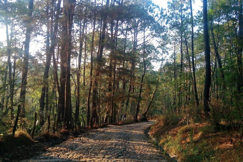 Villa Fantasia A 15 Min A Pie De Cascada Mazamitla Kültér fotó