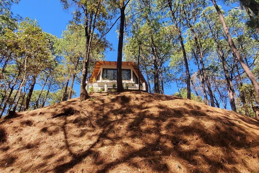 Villa Fantasia A 15 Min A Pie De Cascada Mazamitla Kültér fotó