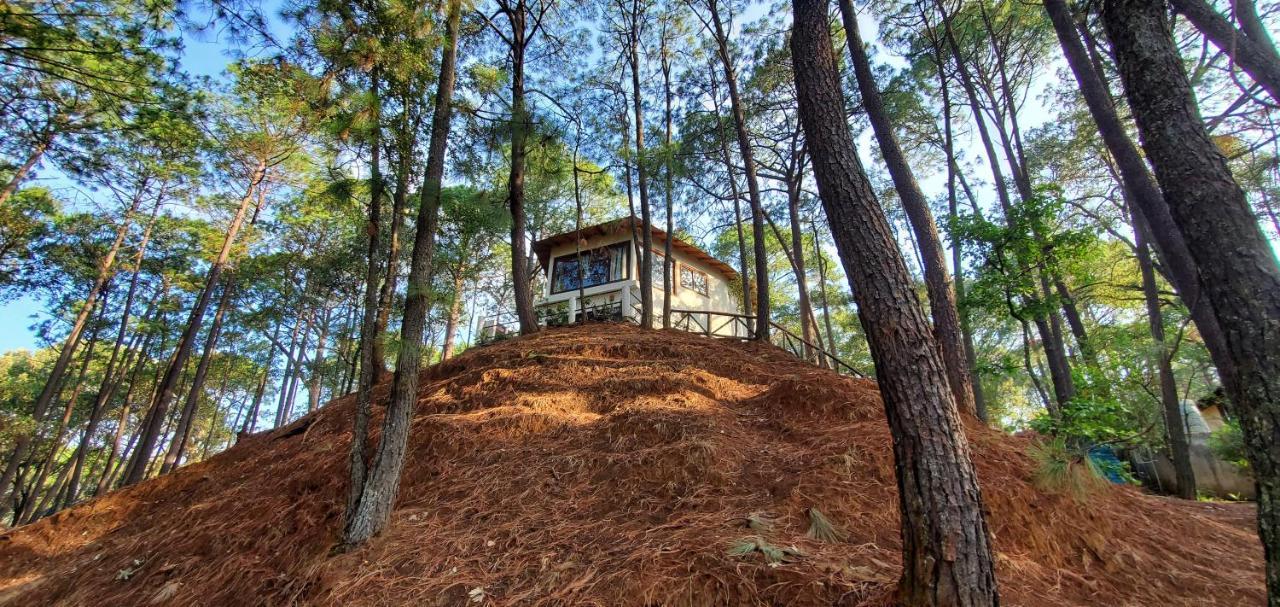 Villa Fantasia A 15 Min A Pie De Cascada Mazamitla Kültér fotó