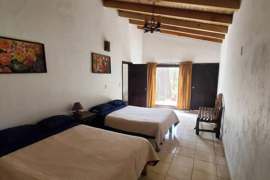 Villa Fantasia A 15 Min A Pie De Cascada Mazamitla Kültér fotó